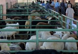 Kurban Bayramı için geri sayım başladı