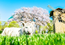 Kurban Bayramı’nda, Gaziantep Doğal Yaşam Parkı, 225 bin ziyaretçiyi ağırladı