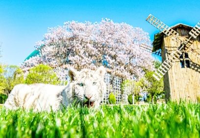 Kurban Bayramı’nda, Gaziantep Doğal Yaşam Parkı, 225 bin ziyaretçiyi ağırladı