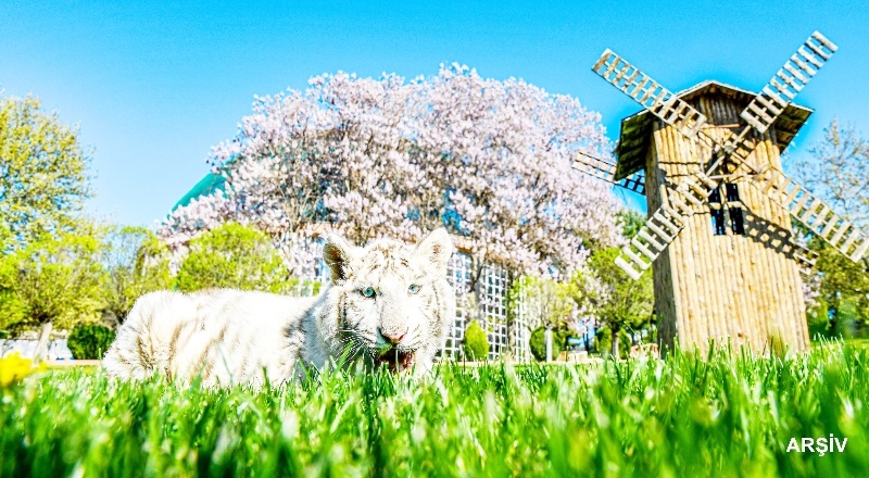Kurban Bayramı’nda, Gaziantep Doğal Yaşam Parkı, 225 bin ziyaretçiyi ağırladı