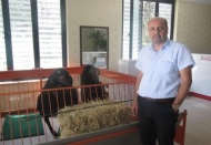 Kurban fiyatları cep yakacak!