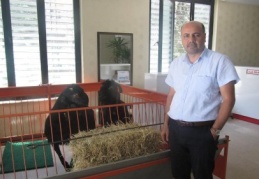 Kurban fiyatları cep yakacak!