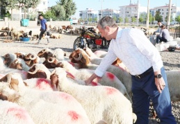 Kurban kesim ve satış noktaları belirlendi