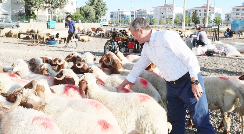 Kurban kesim ve satış noktaları belirlendi