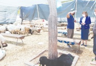 Kurban kesim ve satış yerleri denetlendi