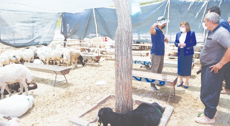 Kurban kesim ve satış yerleri denetlendi