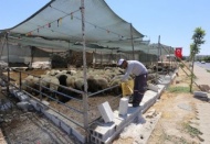 Kurban kesim ve satış yerlerinde karasinek mücadelesi başlatıldı