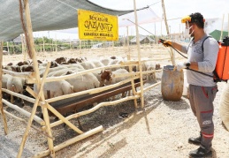 Kurban kesim yerinde ilaçlamalara başlandı