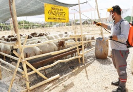 Kurban kesim yerinde ilaçlamalara başlandı