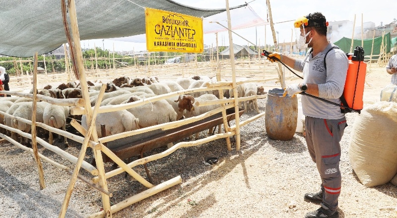 Kurban kesim yerinde ilaçlamalara başlandı