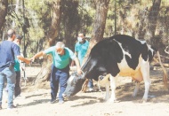 'Kurban yakalama timi' bayrama hazır