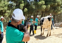 Kurban yakalama timi bayrama hazırlanıyor 