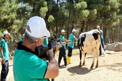 Kurban yakalama timi bayrama hazırlanıyor 