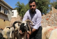 Kurbanlık fiyatı 600 ile 2 bin lira arasında değişiyor