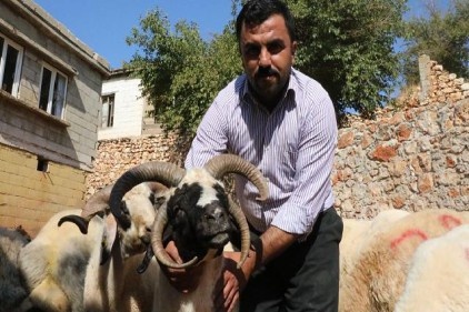 Kurbanlık fiyatı 600 ile 2 bin lira arasında değişiyor