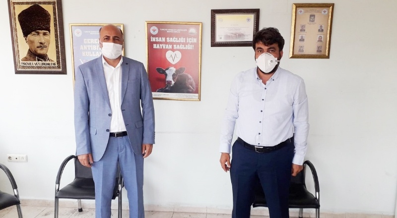 Kurbanlık fiyatları belli oldu