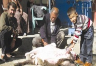 Kurbanlıkların fiyatı düşüyor