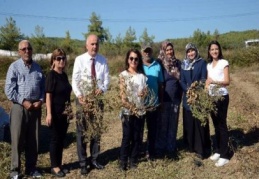 Kurda dalgalanmalar çiftçinin üretim yapmasını zorlaştırdı