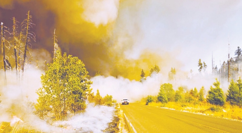 Küresel ısınma insan kaynaklı ve kırmızı alarm veriyor