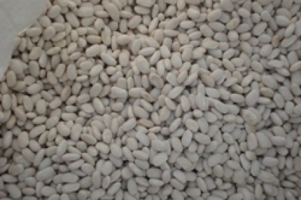Kuru fasulye, patates ve pirinçte spekülasyon yapılıyor