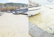 Kurum: 3 günde 733 metreküp müsilajı bertarafa gönderdik