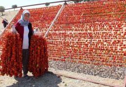 Kurutmalık, sektör haline geldi