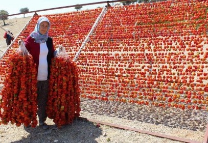 Kurutmalık, sektör haline geldi