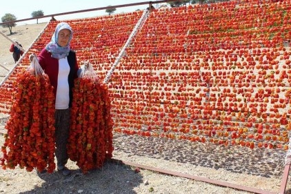 Kurutmalık, sektör haline geldi