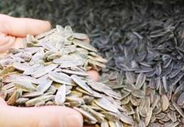 Kuruyemiş tüketiminde dünya ikincisiyiz