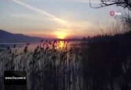 Kuş cennetinden eşsiz görüntüler