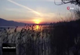 Kuş cennetinden eşsiz görüntüler