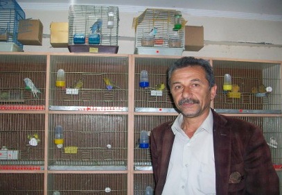 Kuşçuluk sevdası da bitti 