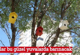 Kuşlar bu güzel yuvalarda barınacak