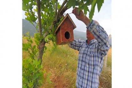 Kuşları yuvalandırıyorlar