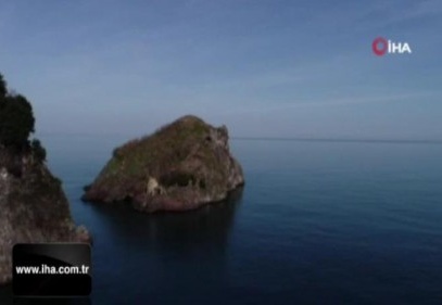 Kuşların Ordu'daki yaşam alanı: 'Hoynat Adası'