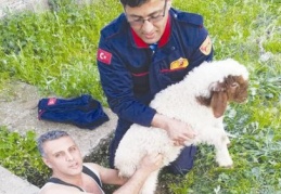 Kuyuya düşen kuzuyu itfaiye kurtardı 