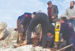 Kuzu, bir saatlik çalışmanın ardından kurtarıldı