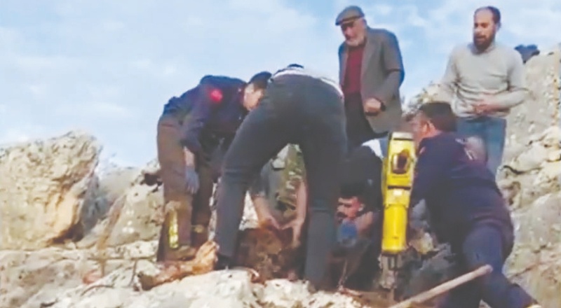 Kuzu, bir saatlik çalışmanın ardından kurtarıldı
