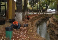 Lale soğanları dikiliyor Nisan’a kadar uyuyacaklar