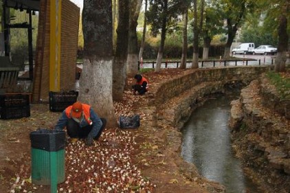 Lale soğanları dikiliyor Nisan&#8217;a kadar uyuyacaklar