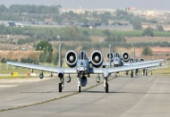 Lammert: Almanya askerlerini İncirlik'ten çekebilir 