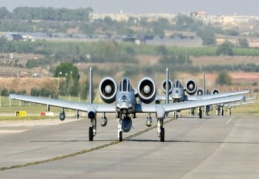 Lammert: Almanya askerlerini İncirlik'ten çekebilir 