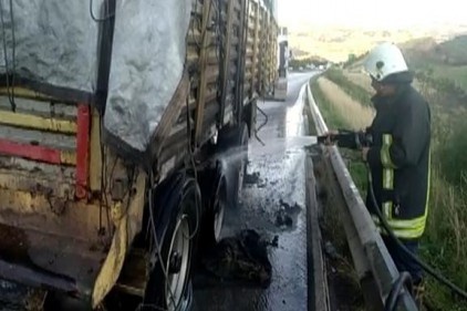 Lastiği patlayan TIR&#8217;ın dorsesi yandı