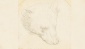 Leonardo da Vinci'nin ayı çizimi açık artırmaya çıkıyor