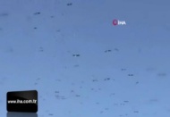 Leylekler İstanbul semalarında