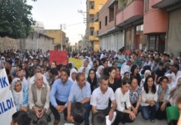 Lice olayları protesto edildi