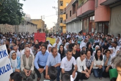 Lice olayları protesto edildi