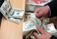 “Lira bu yıl ateş hattında"