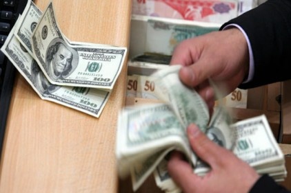 &#8220;Lira bu yıl ateş hattında"