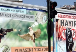 Magandalara para cezası kesildi